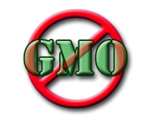 image005-GMO